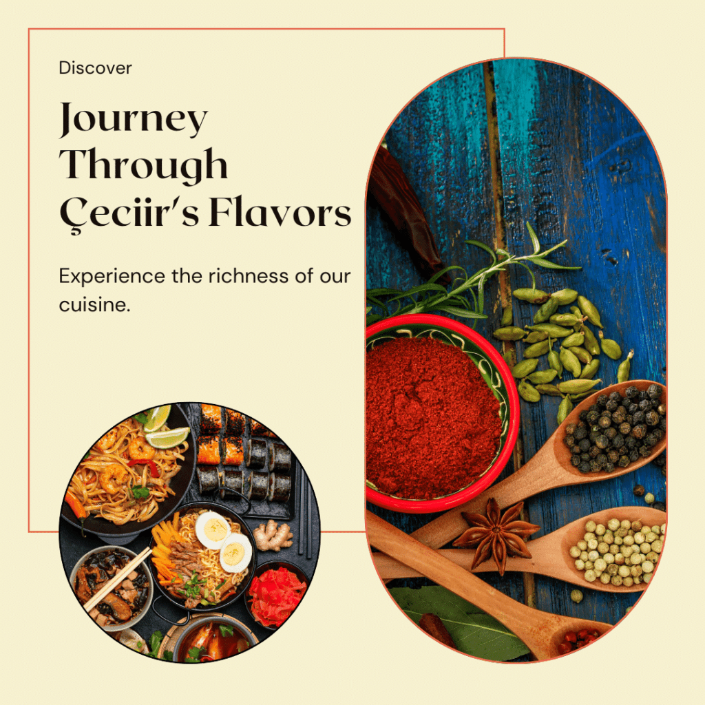 Journey Through Çeciir's Flavors