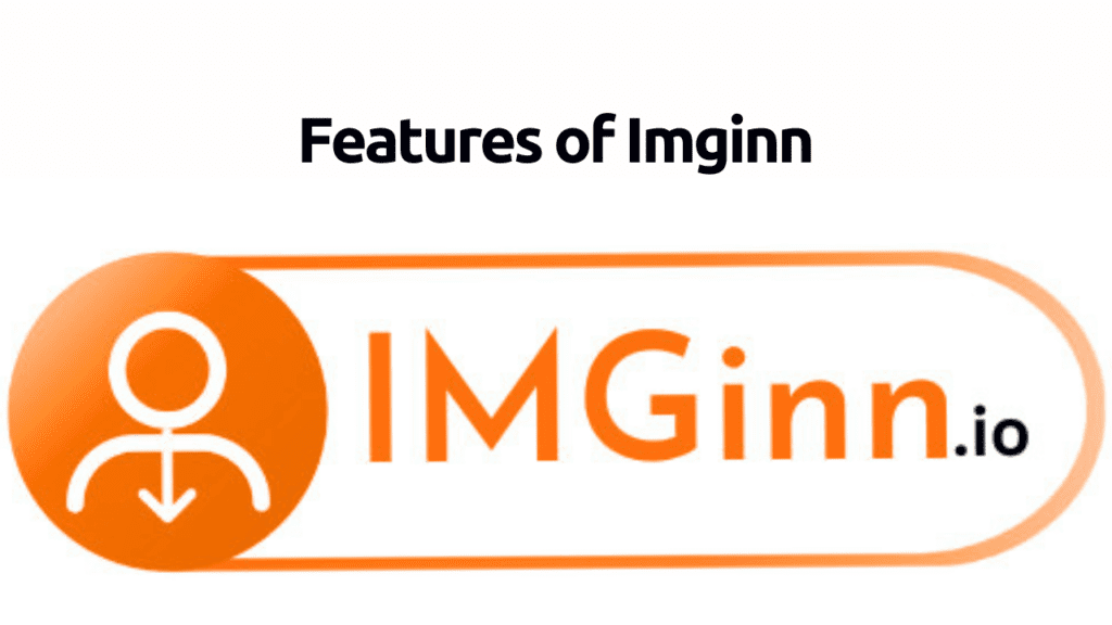 Features of Imginn
