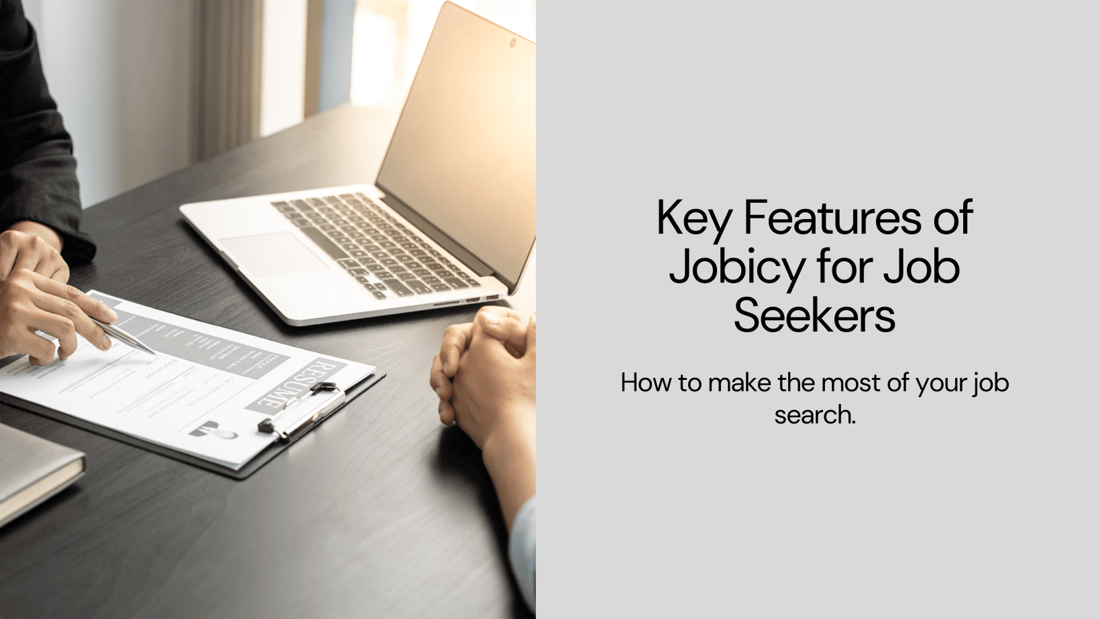 Key Features of Jobicy for Job Seekers